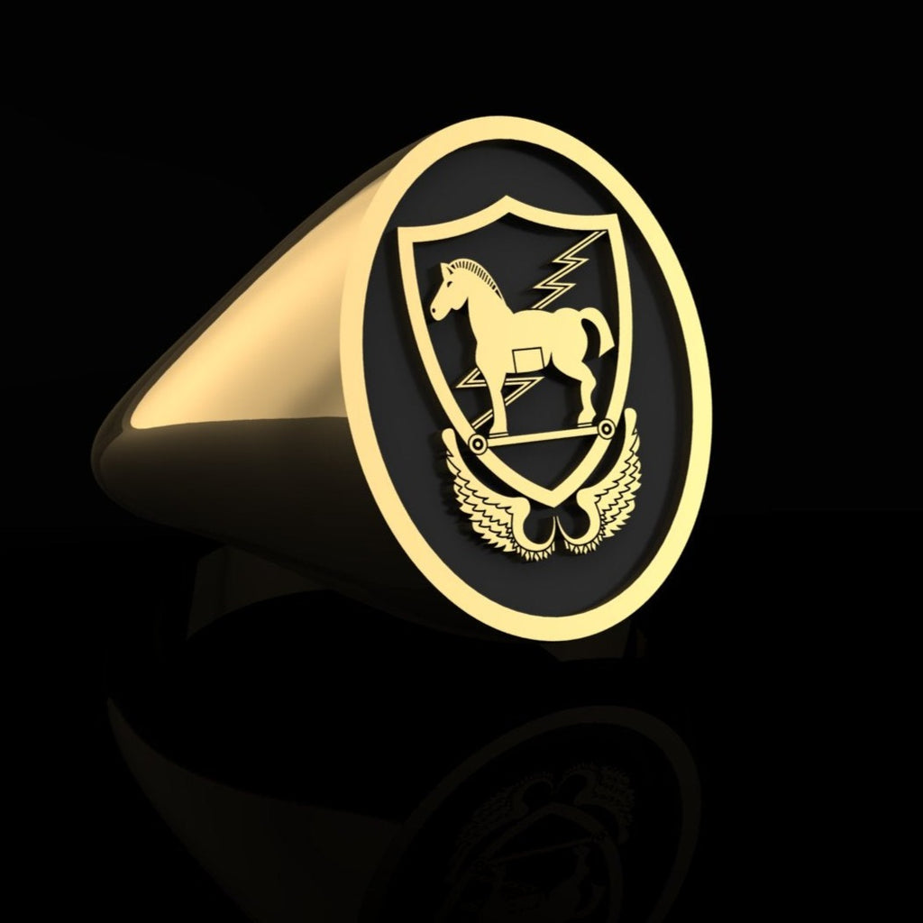 Army 10th Special Forces ring - gold